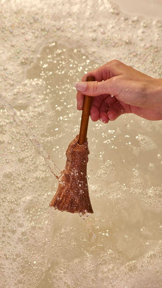 Elphaba's Broomstick